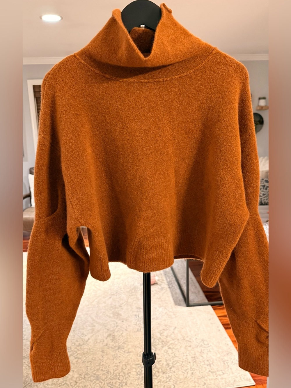 NWT Alexander Wang Rust/Brown Turtleneck Cropped Sweater - Women